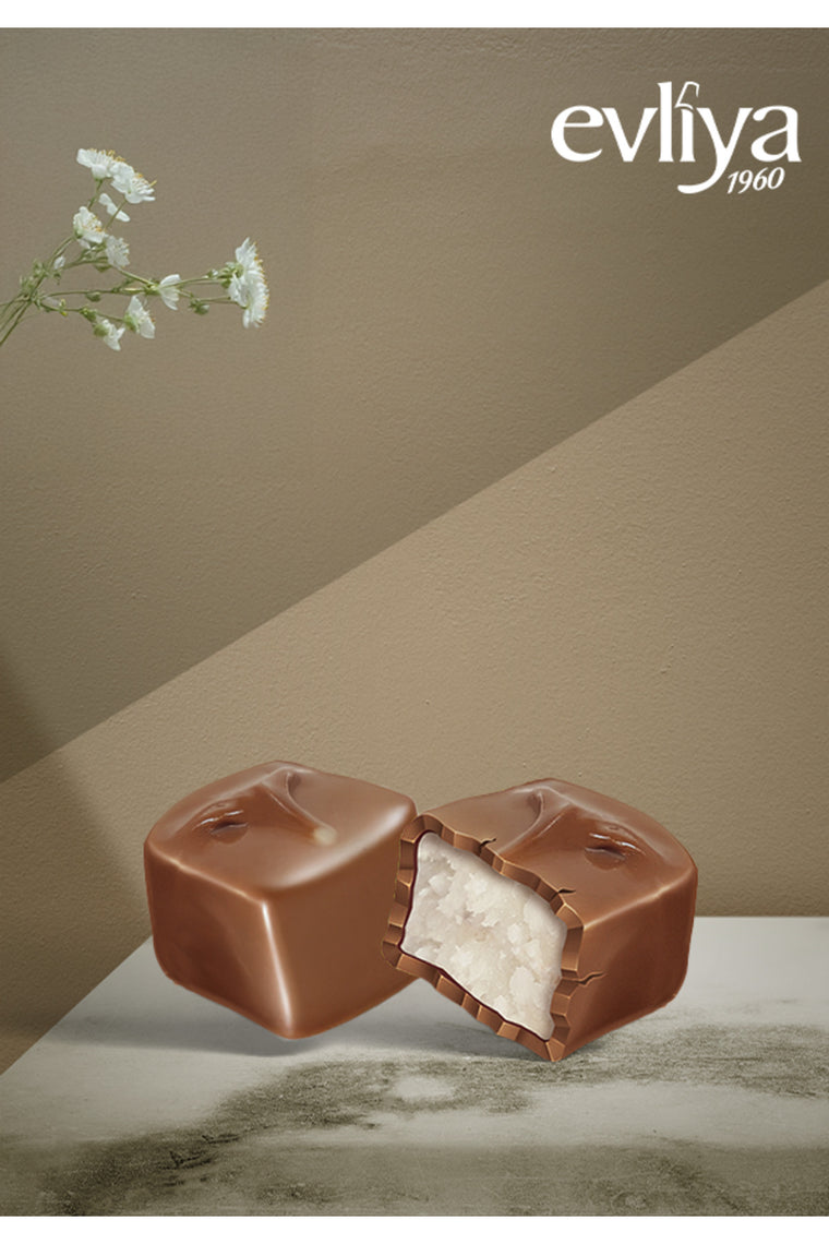 Evliya Donaci Hindistan Cevizli Çikolata Kaplamalı 1000GR